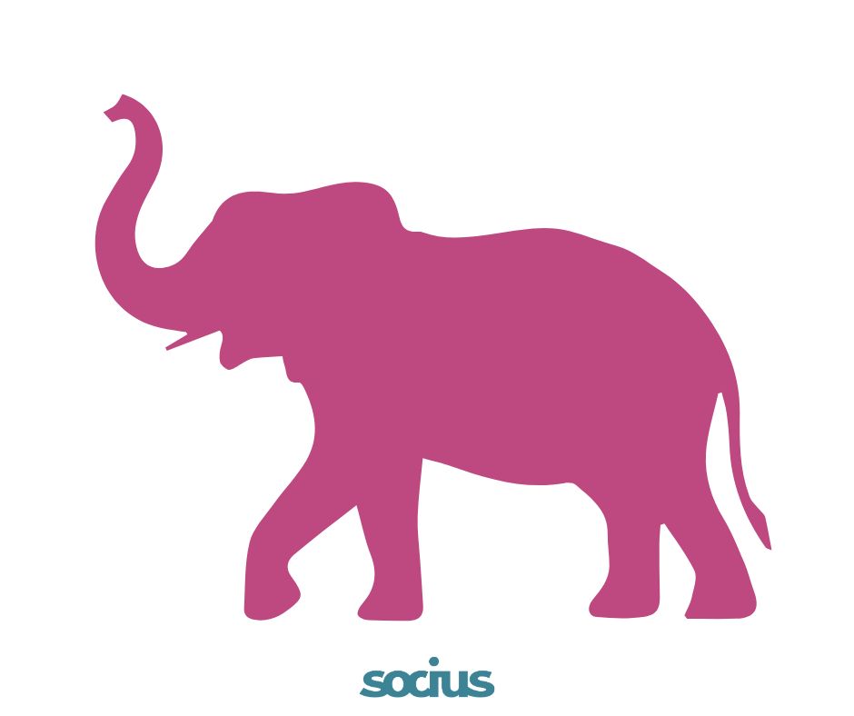 pink elephant
